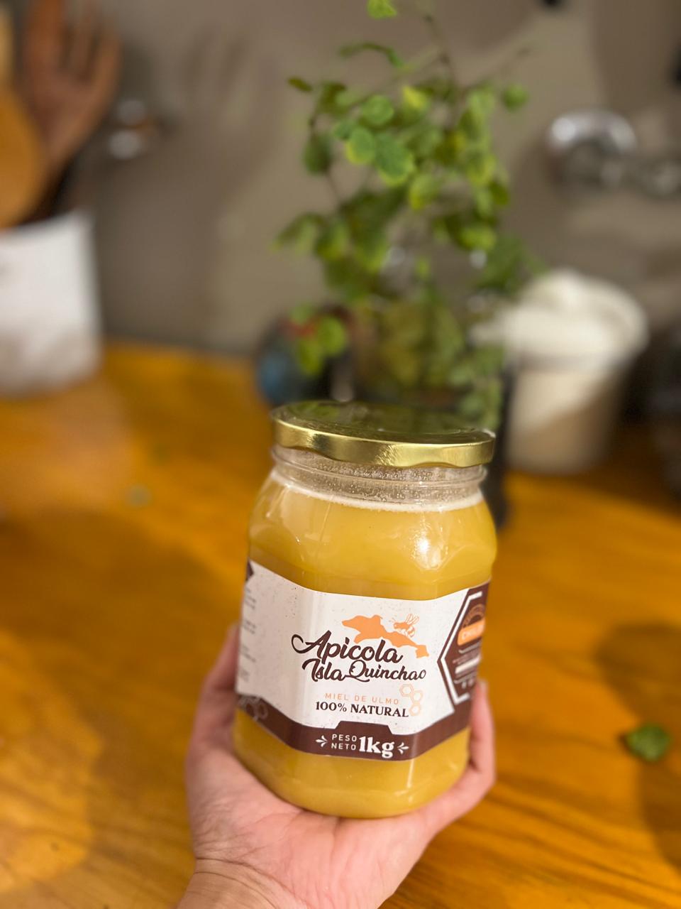 Miel de Ulmo Chiloé Envase 1kg